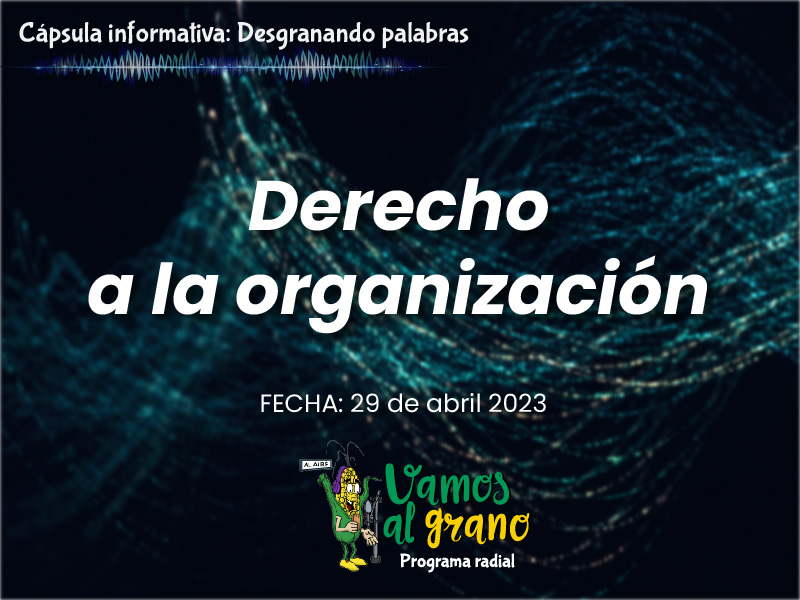 Derecho a la organización