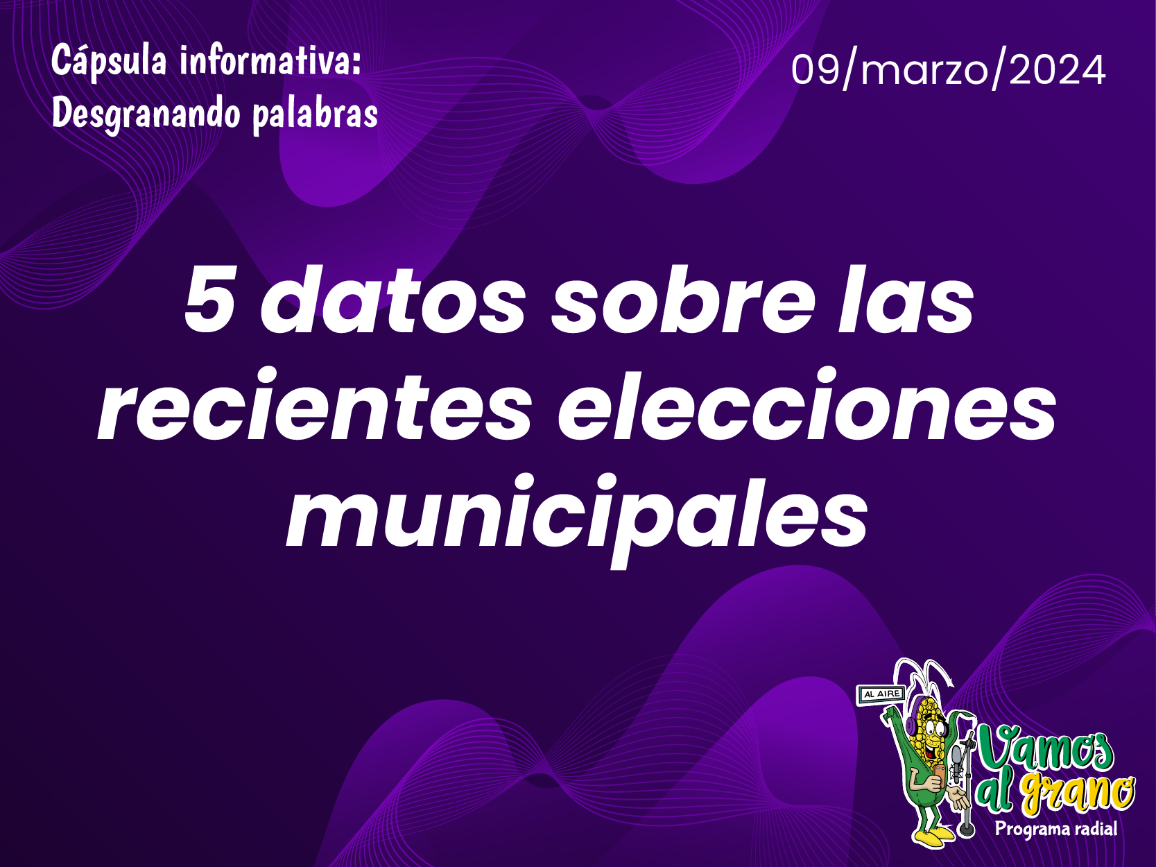 Datos elecciones municipales