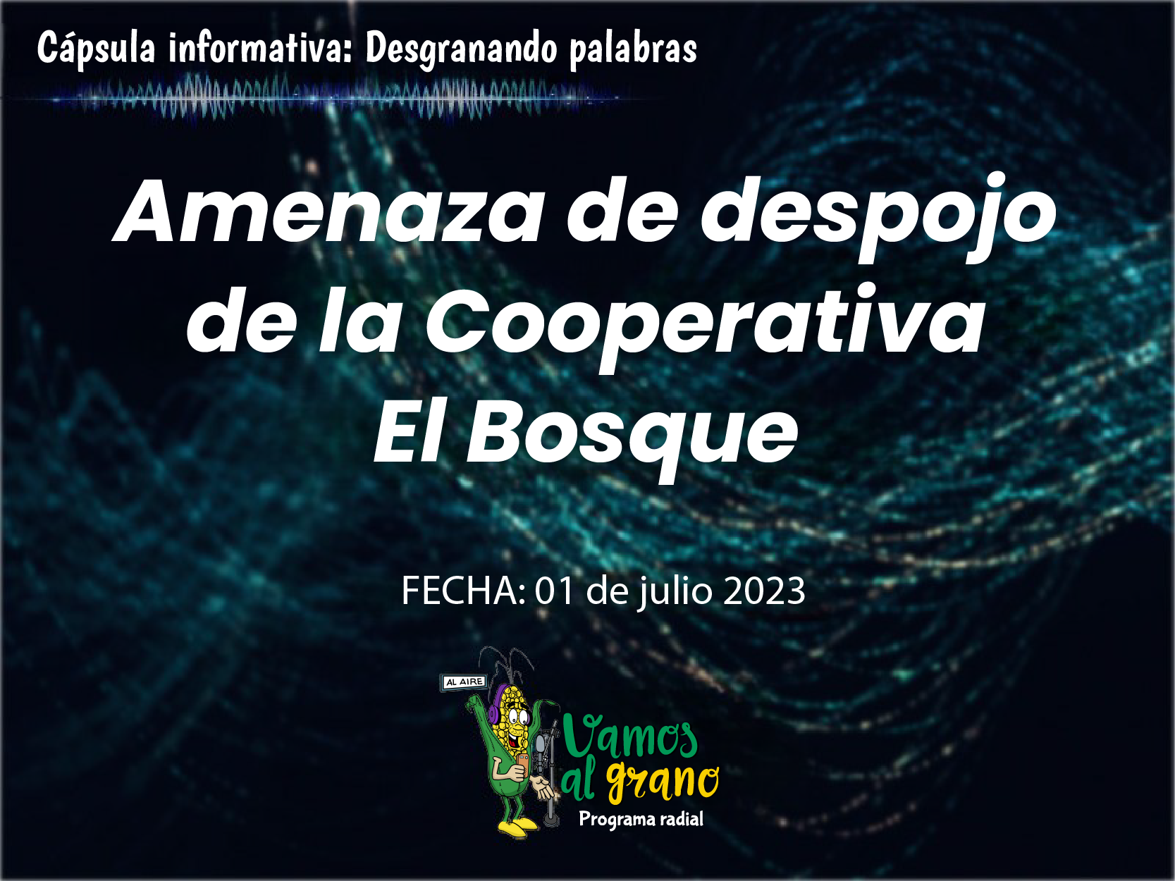 Amenaza de despojo de la Cooperativa El Bosque