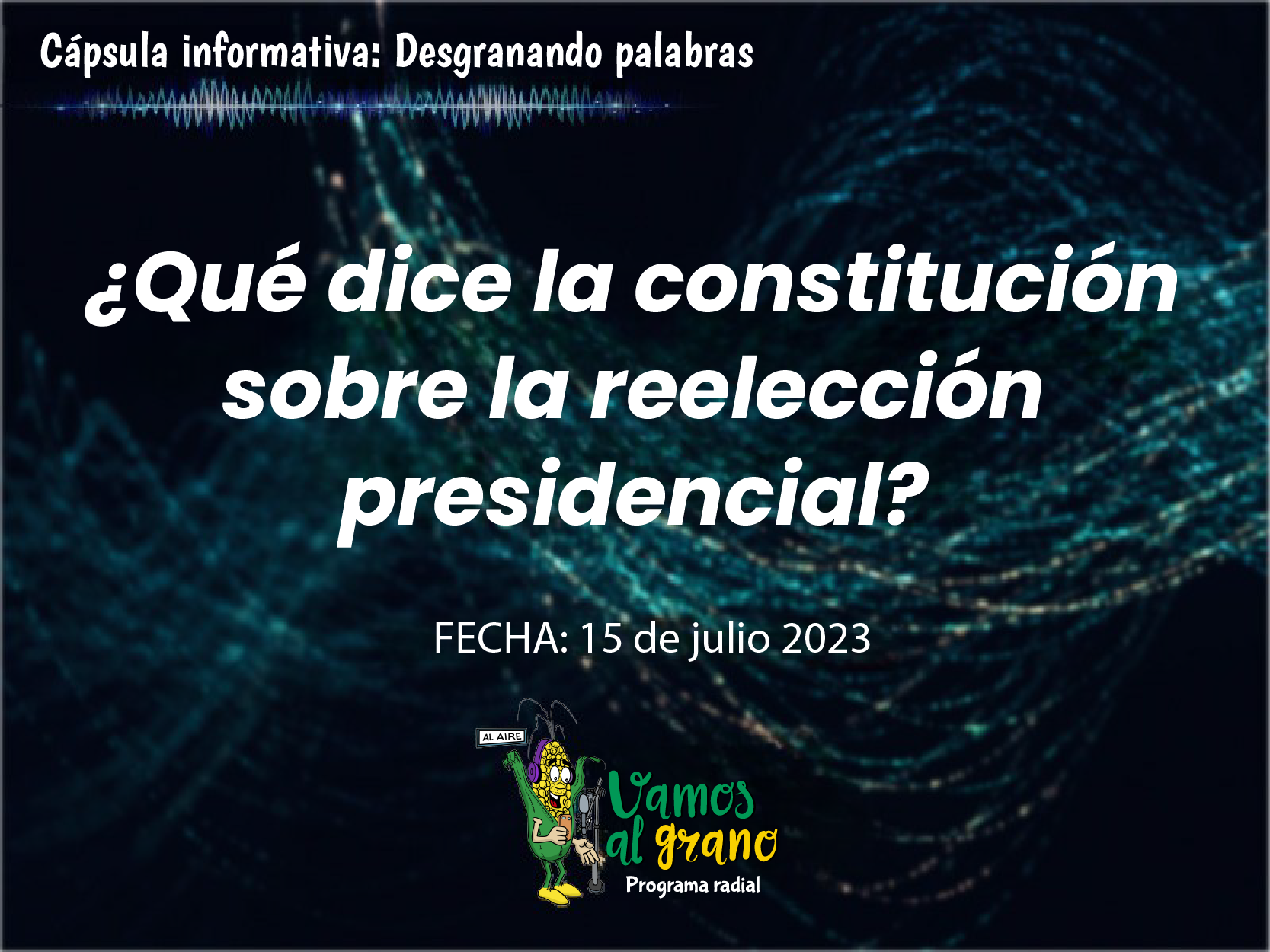 ¿Qué dice la constitución sobre reelección presidencial?