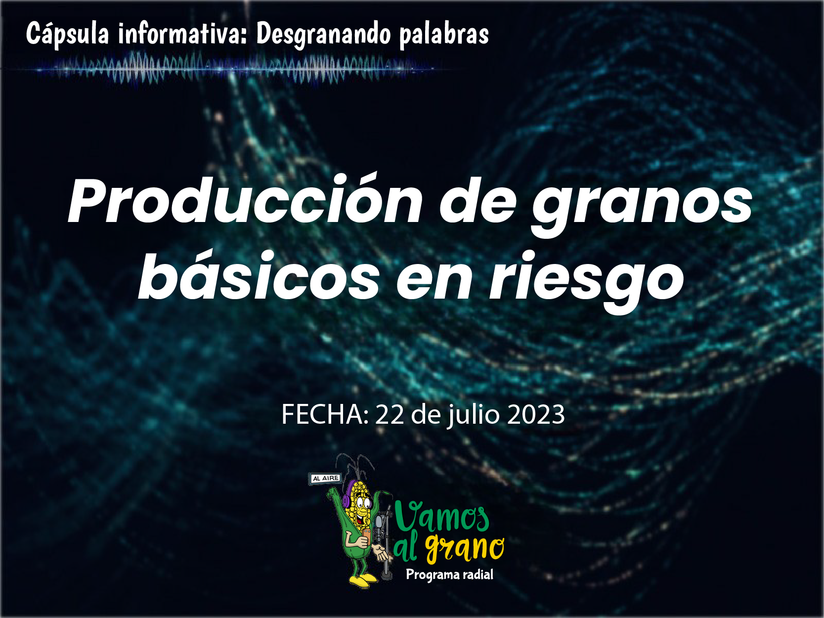 Producción de granos básicos en riesgo