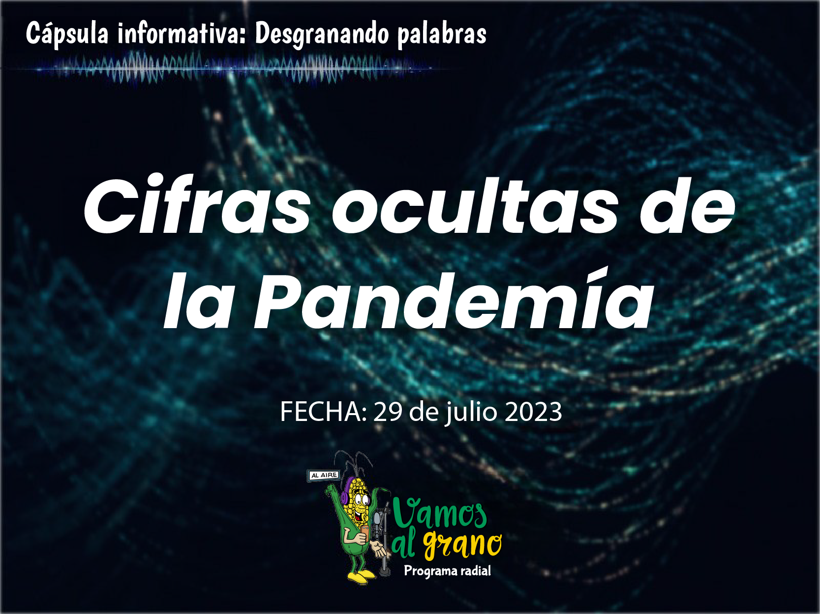 Cifras ocultas de la pandemia